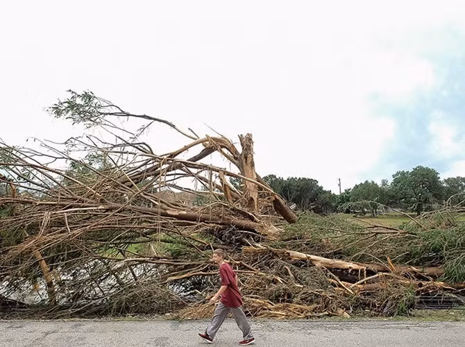 Cây cối bị cơn lũ tàn phá dọc theo dòng sông Blanco.