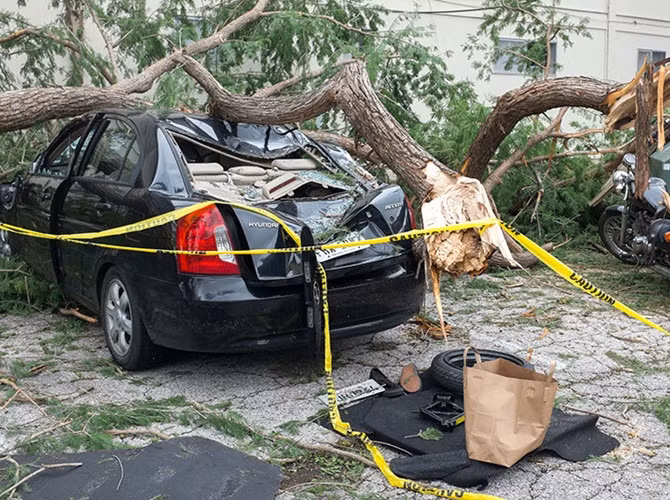 Xe cộ bị cành cây gãy đè bẹp ở quận Hyde Park thuộc thành phố Austin.