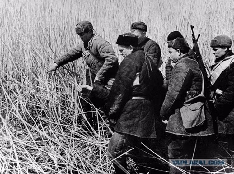 Các chiến sĩ du kích mang xác đồng đội bị hy sinh trong chiến đấu năm 1941 đi chôn.