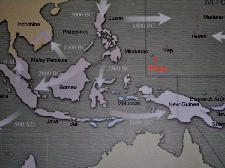 Dao quoc Palau dot bon tau ca Viet Nam-Hinh-2