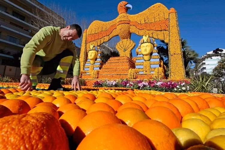 Khoảng 140 tấn chanh được sử dụng để trang trí Lễ hội Chanh Riviera lần thứ 83, theo ý tưởng của Cinecittà, một trung tâm điện ảnh của Italy và có trụ sở ở thủ đô Rome.