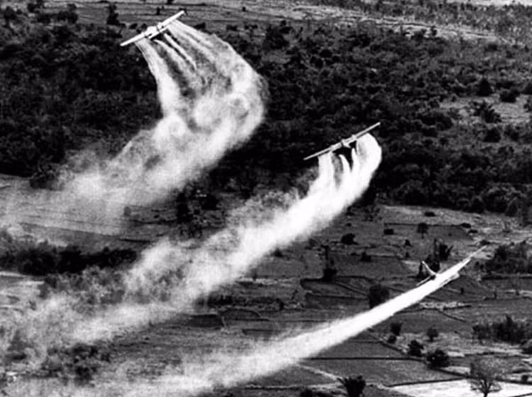 Nhung hinh anh kho quen trong Chien tranh Viet Nam-Hinh-2