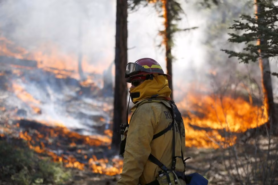 Người lính cứu hỏa này chỉ còn mỗi cách là đứng nhìn ngọn lửa hoành hành dữ dội.