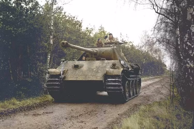 Xe tăng Con báo-V của phát xít Đức bị quân Đồng minh tịch thu ngày 29/11/1944 ở khu vực tây bắc Châu Âu. (Nguồn: War History)