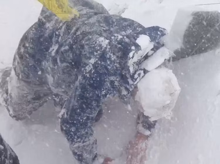 Một người may mắn sống sót sau vụ lở tuyết núi Everest.