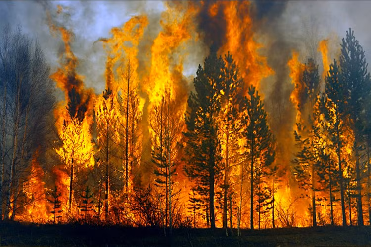 Chay rung du doi o Nga tran qua Trung Quoc