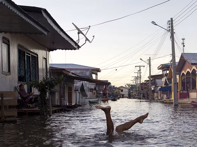 Một đứa trẻ đang lặn ngụp trên một đường phố biến thành sông ở Anama, tiểu bang Amazonas, Brazil. Hơn 250.000 người bị khốn khổ bởi lũ lụt Amazon trong tình trạng ngập lụt sau những cơn mưa như trút nước.