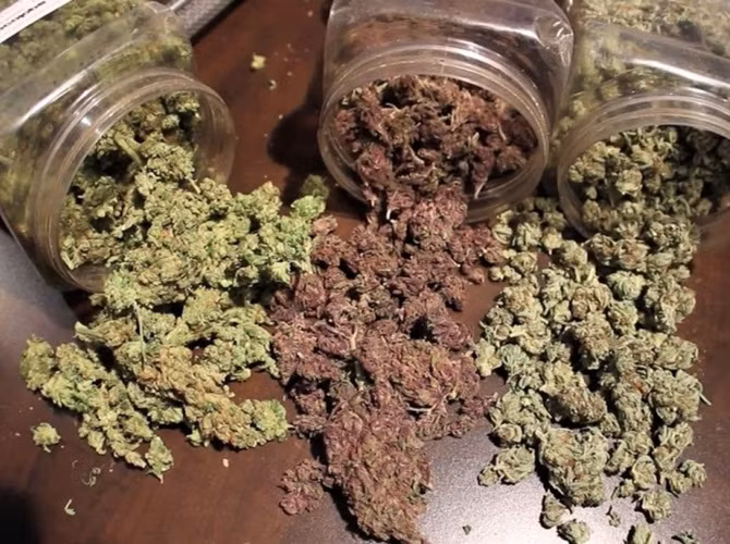 10. Cần sa tổng hợp: Theo một phân tích hóa học, “spice” - một loại ma túy tổng hợp từ cần sa - có thể mạnh hơn cần sa đến 1.000 lần. Sử dụng "spice" dẫn đến rối loạn tâm thần, liên tục buồn ngủ hay đau đầu, tăng nhịp tim, mất khả năng điều khiển vận động hoặc bất tỉnh.