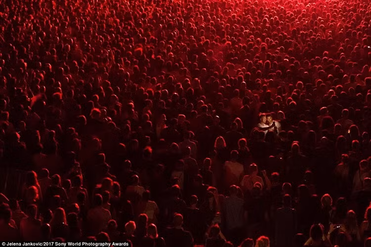 Nhiếp ảnh gia chớp được khoảnh khắc cặp tình nhân chụp ảnh "tự sướng" giữa hàng nghìn khán giả trong một đêm hòa nhạc ở Croatia. Ảnh: Daily Mail