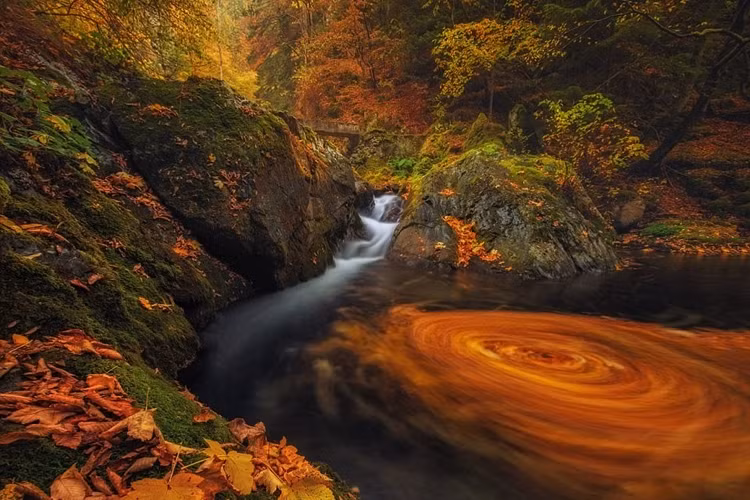 Dãy núi hoang sơ ở vùng Balkan vào mùa thu năm 2016. Ảnh: Daily Mail