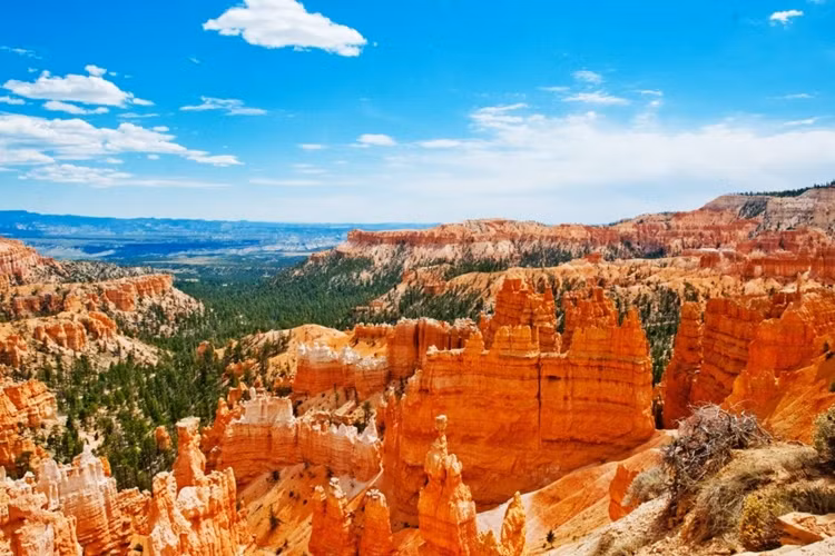 10 ky quan thien nhien it duoc biet den tren the gioi-Hinh-2