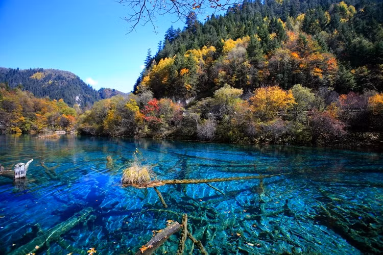 10 ky quan thien nhien it duoc biet den tren the gioi-Hinh-9