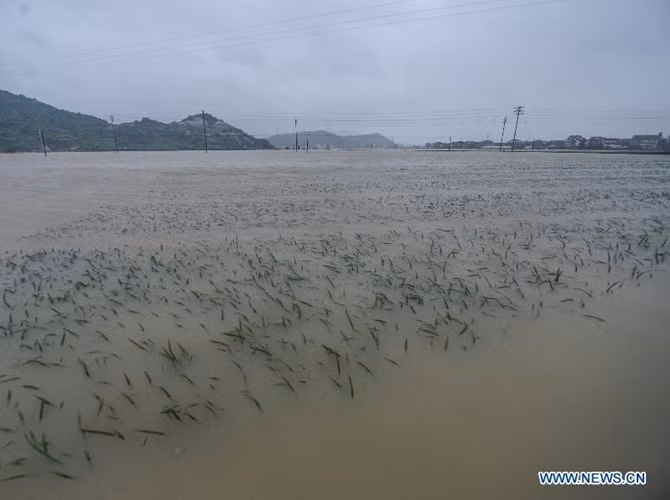 Một số nơi ở tỉnh Chiết Giang đã bị ngập lụp do lượng mưa đo được là cực lớn: 300 milimet trong 24 giờ vào sáng 11/7. Trước khi đổ bộ vào Trung Quốc, bão Chan-hom đã quét qua Philippines khiến 5 người chết và 20 người bị thương.