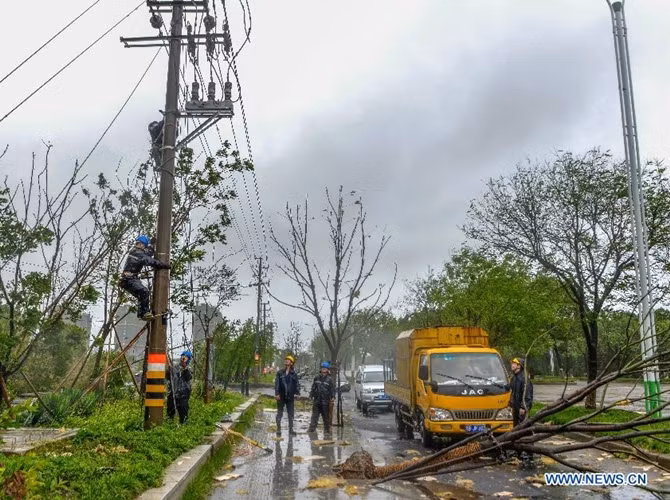 Siêu bão chưa vào đất liền, nhưng nhiều cây cối đã bị đổ gãy.