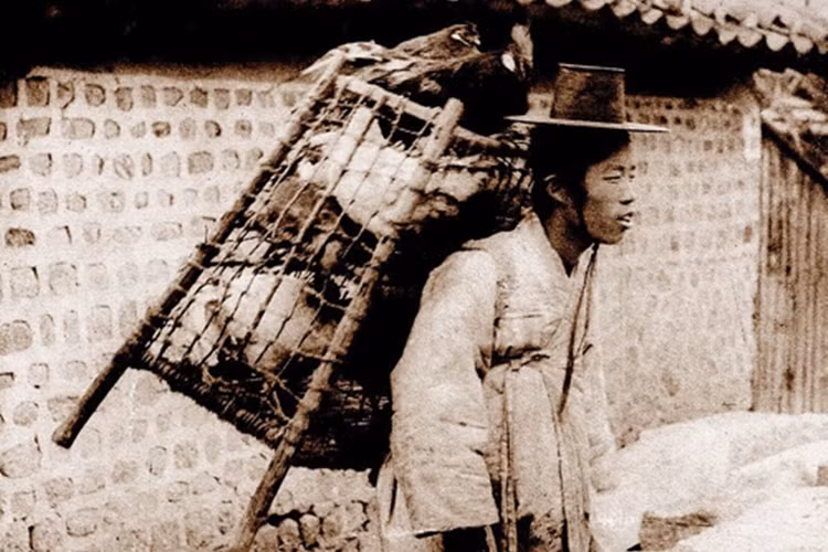 Một người bán gà tại Seoul. (Nguồn: Daily Mail)