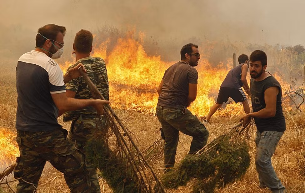 Cư dân Neapoli dùng mọi phương tiện có trong tay để ngăn chặn giặc lửa.