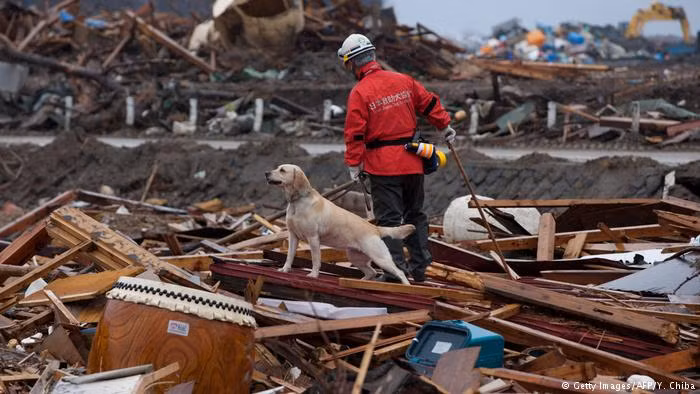 Trận động đất 9,1 độ Richter và tiếp theo là sóng thần khổng lồ ở đông bắc Nhật Bản đã khiến gần 18.500 người thiệt mạng và gây ra thảm họa hạt nhân Fukushima tồi tệ nhất thế giới trong thập kỷ qua. (Nguồn: DW)