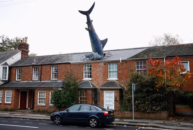 16, Mô hình cá mập dài tới 7,6m “đâm đầu” xuống mái nhà ở Oxford, Anh.