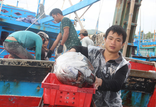 Ra bien san ca ngu, ve lang xay nhan nhan biet thu tien ti