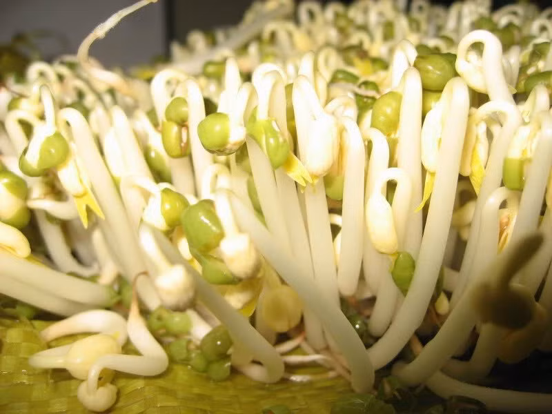 Cach lam nuoc ep gia do 'vitamin tinh yeu' cho chong-Hinh-2