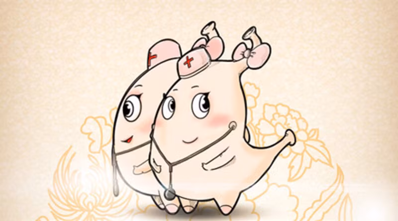 Cải thiện tiêu hóa: Muối tỏi hoặc cụ thể là các thành phần bột tỏi, khá giàu chất xơ. Chất xơ này là một tác nhân quan trọng giúp phân di chuyển dễ dàng dọc theo đường tiêu hóa./.