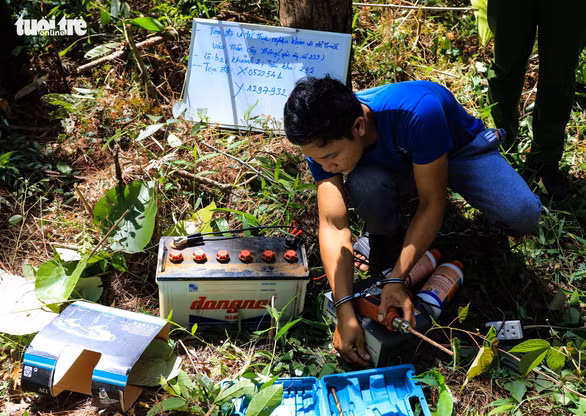 Khoan lo 20 cm roi do thuoc diet co ha doc 3.500 cay thong o Lam Dong