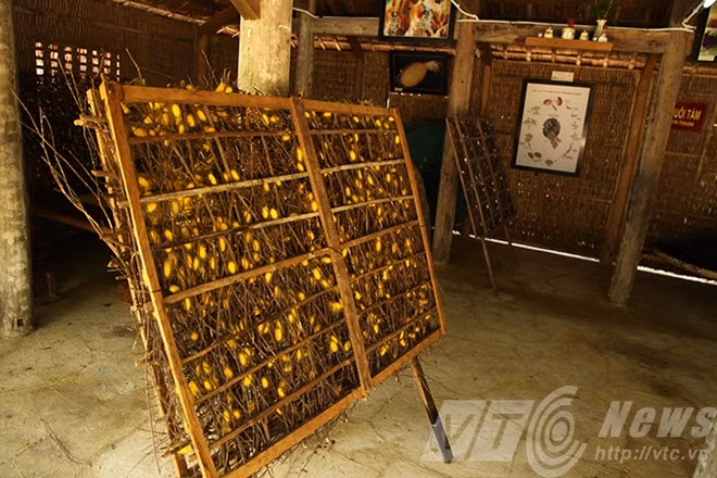 Nơi những con tằm nhả tơ.