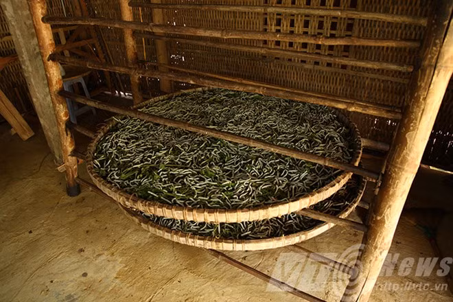 "Một nong tằm là năm nong kén...".