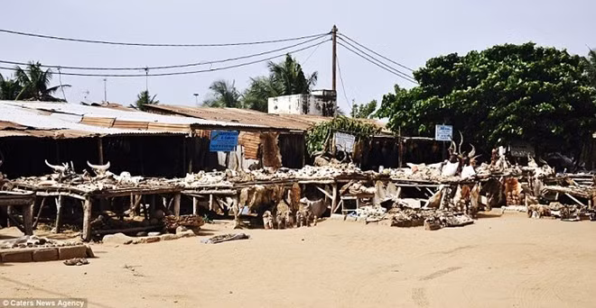 Ngổn ngang các sản phẩm được bày bán trong khu chợ.