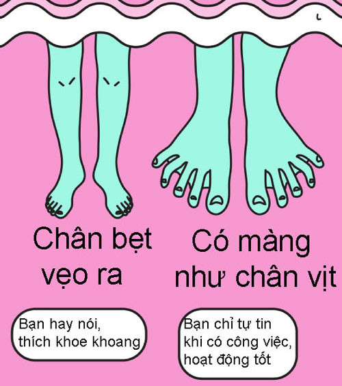 Nếu bàn chân của bạn bẹt vẹo ra, bạn là người hay nói, thích khoe khoang. Còn nếu giữa các ngón chân của bạn có màng như chân vịt, bạn là người chỉ tự tin khi có công việc, hoạt động tốt.