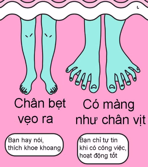 Nếu bàn chân của bạn bẹt vẹo ra, bạn là người hay nói, thích khoe khoang. Còn nếu giữa các ngón chân của bạn có màng như chân vịt, bạn là người chỉ tự tin khi có công việc, hoạt động tốt.