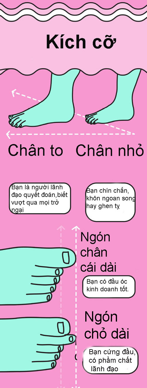 Nếu bàn chân của bạn có ngón chân cái dài nhất, bạn là người có đầu óc kinh doanh tốt. Nếu ngón trỏ dài nhất, bạn là người cứng đầu, có phẩm chất lãnh đạo.