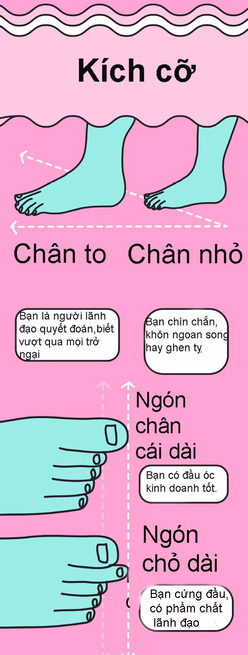 Nếu bàn chân của bạn có ngón chân cái dài nhất, bạn là người có đầu óc kinh doanh tốt. Nếu ngón trỏ dài nhất, bạn là người cứng đầu, có phẩm chất lãnh đạo.