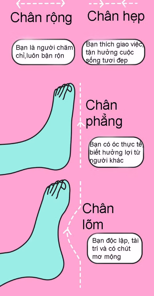 Người chân rộng là người chăm chỉ, luôn bận rộn. Người chân hẹp là người thích giao việc cho người khác, tận hưởng cuộc sống tươi đẹp. Người chân phẳng có đầu óc thực tế, biết hưởng lợi từ người khác. Người chân lõm là người độc lập, tài trí và có chút mơ mộng.