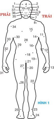 Ly giai nhung not ruoi tren mat va co the con nguoi-Hinh-2