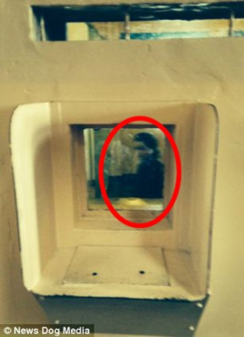 Riêng tour tham quan vào ban đêm tại nhà tù là rất đáng sợ, do đây là nơi nổi tiếng với các câu chuyện ma ám. Mỗi đêm có khoảng 700 khách được phép vào tham quan. Năm ngoái, một cặp đôi khách du lịch Anh bị một phen dựng tóc gáy khi phát hiện một bóng phụ nữ đang nhìn thẳng vào camera qua cửa sổ trong lúc chụp ảnh. Lúc đó không hề có một ai được phép vào căn phòng đối diện. Người phụ nữ này có trang phục và diện mạo của những năm 1930-1940. Cặp đôi quả quyết đó chính là một hồn ma.