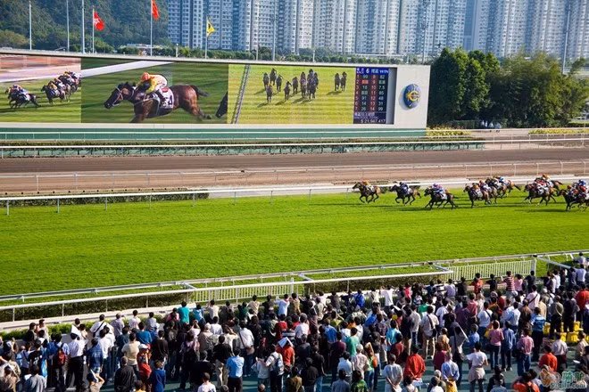 3.Trường đua ngựa Sa Điền (Shatin) - trung tâm văn hóa thể thao. Tại Hong Kong, đua ngựa là môn thể thao rất được ưa chuộng. Shatin là một trong những trường đua lớn nhất thế giới với sức chứa lên đến 80.000 người, trang thiết bị hiện đại, giúp người xem có thể theo dõi diễn biến cuộc đua một cách dễ dàng nhất. Ảnh: Huanqiu.