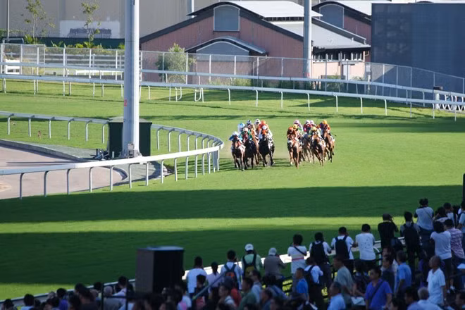 Những trò cá cược mạo hiểm đầy kịch tính và hồi hộp này cũng chính là điểm thu hút khách du lịch không ngừng đổ về trường đua hàng năm. Ảnh: Ifeng.