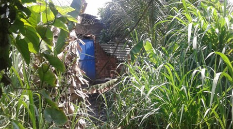 Bi an xac chet thanh nien treo tren cay mit