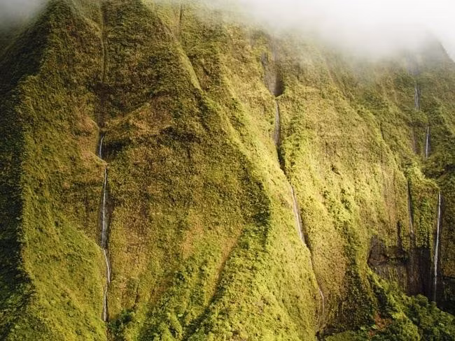  8. Mt. Waialeale, Oceania: Cũng nằm ở Hawaii, lượng mưa ở đây là 9.763 mm/năm. Do những cơn mưa liên tiếp, đi bộ leo núi ở vùng này vô cùng nguy hiểm, kể cả với những người kinh nghiệm nhất. Nhưng cũng nhờ mưa mà khu vực này có rất nhiều loại thảo mộc quý hiếm.
