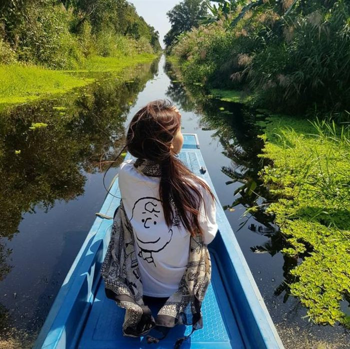 Đặc biệt, khi đứng ở đài quan sát rừng giữa trung tâm U Minh Hạ ở độ cao 25m, du khách sẽ thấy U Minh Hạ nổi bật trong sắc xanh bạt ngàn của rừng già mênh mông chạy tới tận chân trời. Ẩn chứa trong màu sắc hiền hòa, thanh bình, tươi mát ấy là một thế giới “u minh” kỳ bí, huyền ảo cùng hệ sinh thái động - thực vật vô cùng phong phú như: trúc (tê tê), chồn, trăn, lợn rừng, nai, khỉ, rùa… và 60 loài cá nước ngọt, nước lợ. Trong đó có nhiều loại động vật quý hiếm cần được bảo tồn có tên trong “Sách đỏ Việt Nam”. (Ảnh: @yun_yunnguyen)