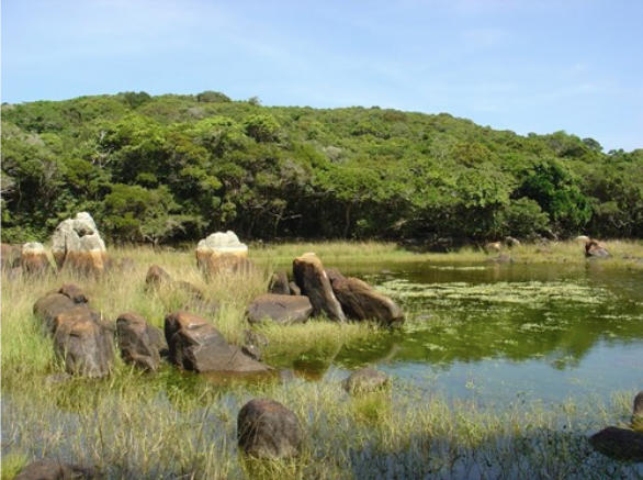 Nui Chua va Kon Ha Nung tro thanh Khu du tru sinh quyen the gioi