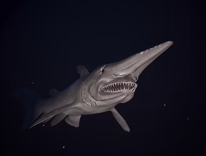 Là loài cá mập sống dưới biển sâu, Goblin có dáng vẻ cực kỳ xấu xí, đáng sợ với chiếc mũi dài ngoằng giống như mỏ chim. Hơn nữa, cá mập yêu tinh còn có toàn thân màu hồng và bộ răng sắc nhọn có thể nghiền nát mọi thức ăn.