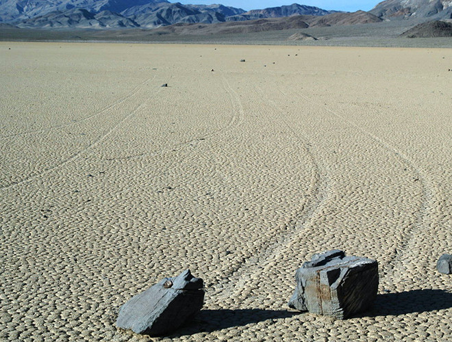 Cho đến năm 2011, một nhóm các nhà nghiên cứu tại Đại học San Diego quyết định thực hiện nghiên cứu khoa học với quy mô chưa từng có trước đó, để tìm kiếm câu trả lời cho điều bí ẩn này.