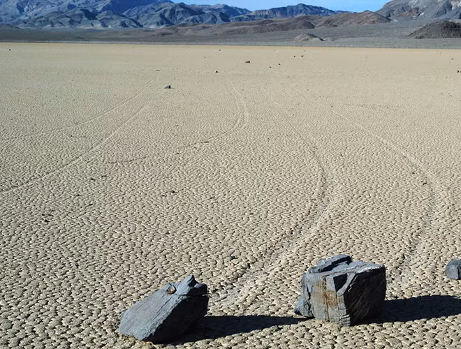 Cho đến năm 2011, một nhóm các nhà nghiên cứu tại Đại học San Diego quyết định thực hiện nghiên cứu khoa học với quy mô chưa từng có trước đó, để tìm kiếm câu trả lời cho điều bí ẩn này.