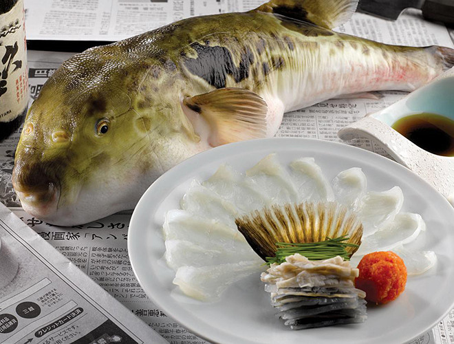 Tại đây, cá nóc được chế biến theo cách riêng, phù hợp với yêu cầu của khách hàng như: sashimi, cháo gạo, cá nóc ngâm rượu sake…