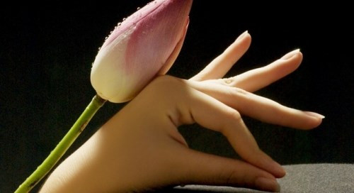 Ngón tay dài: Những người con gái có ngón tay dài, thon đa phần đều có khả năng tự chủ cao. Ngón tay dài tức là giữ được tiền, có khả năng kiếm tiền rất tốt. Ấn tượng đầu tiên của mọi người đối với những cô gái này là sự thục nữ. Trong sự nghiệp, họ nhất định sẽ thuận buồm xuôi gió. (Thông tin trong bài chỉ mang tính tham khảo).