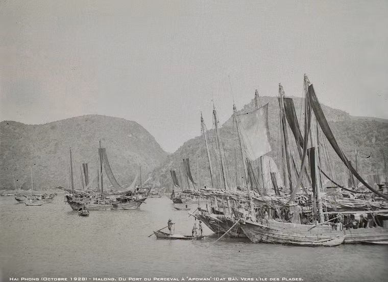 Khu vực cảng Cát Bà.