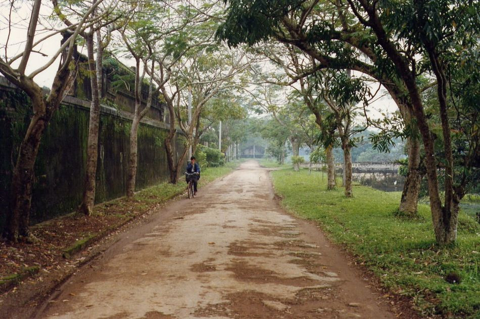 Con đường ở khu vực Hoàng thành Huế.