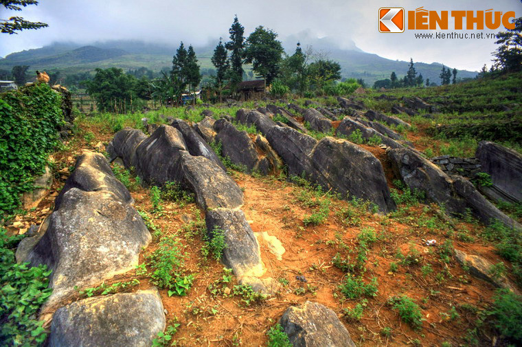 1. Hình ảnh những đàn sư tử biển chen chúc trên các vách đá ở vùng biển xứ lạnh được coi là một trong những khung cảnh ấn tượng nhất của thế giới động vật. Thật thú vị khi hình ảnh này lại được tái hiện ở bãi đá "sư tử biển" ở xã Vần Chải trên cao nguyên đá Đồng Văn.